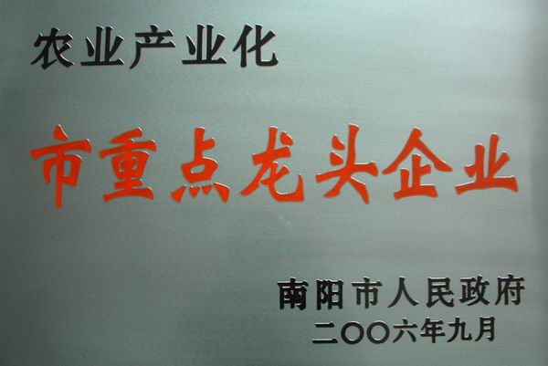 市重点龙头企业