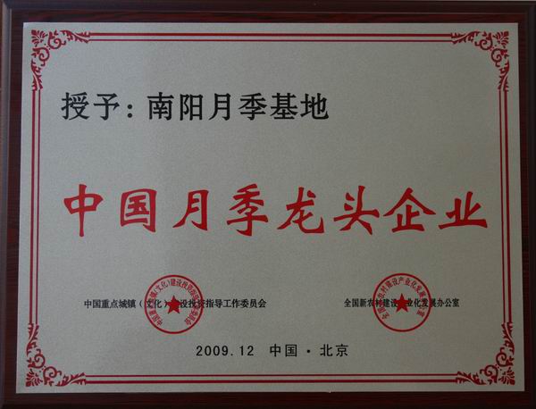 中国月季龙头企业