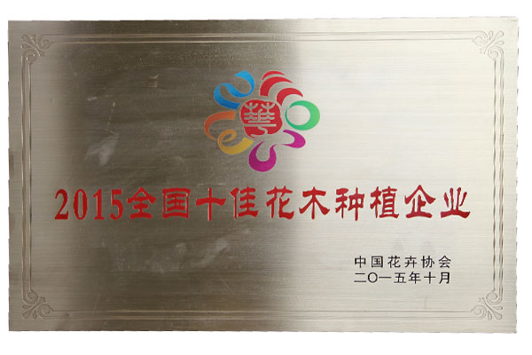 2015全国十佳花木种植企业