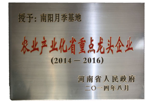 农业产业化省重点龙头企业