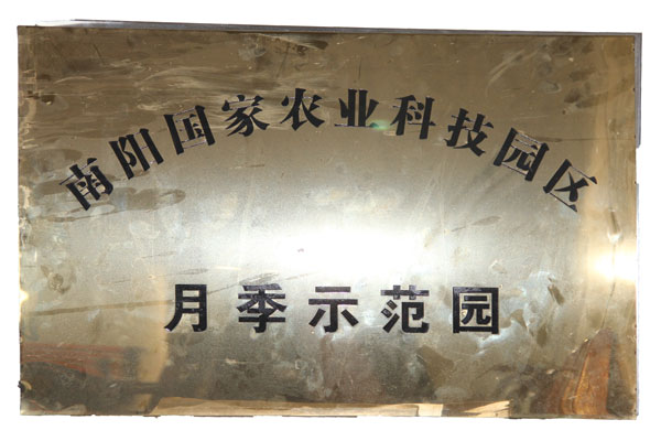 月季园示范园