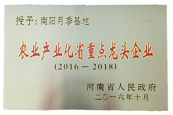农业产业化省重点龙头企业
